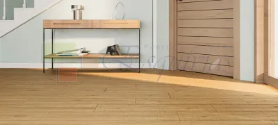 Portada-SL-Elegance-2XL